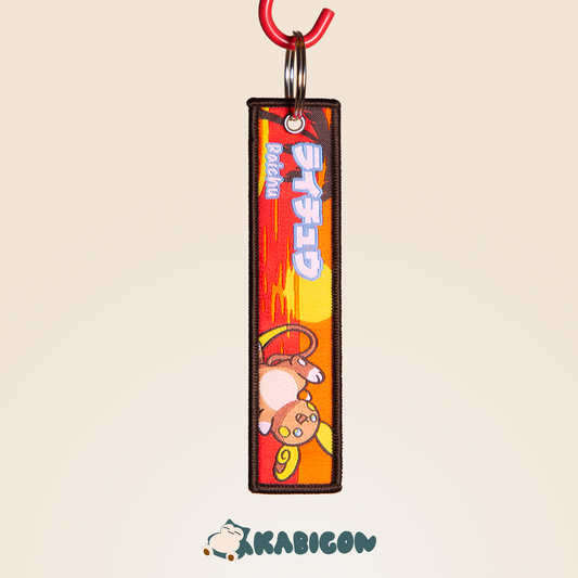 ALOLAN RAICHU KEYTAG